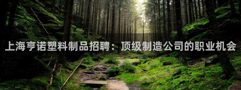 suncitygroup太陽集團--官方網(wǎng)站：上海亨諾塑料制