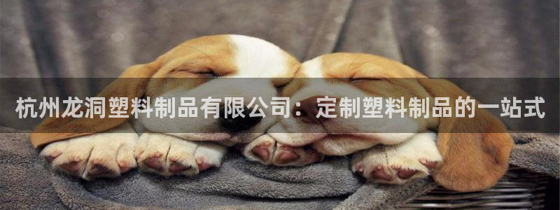 太陽成集團(tuán)游戲古天樂：杭州龍洞塑料制品有限公司：定制塑料制品