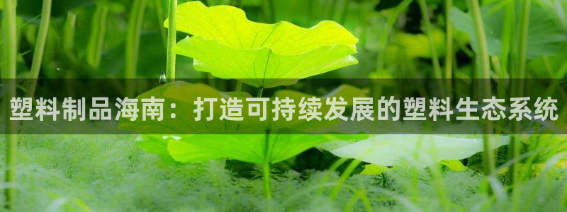 太陽集團(tuán)電子游戲官方網(wǎng)站：塑料制品海南：打造可持續(xù)發(fā)展的塑料