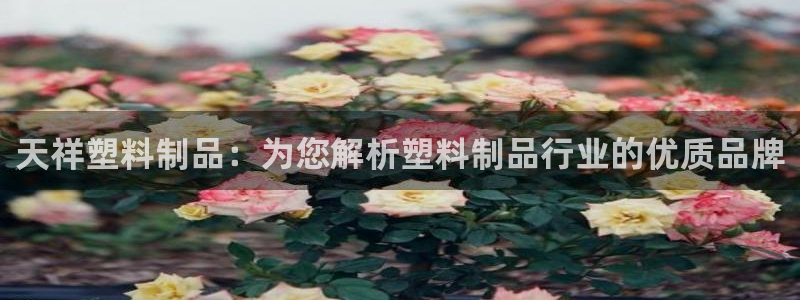 太陽gg是真的嗎