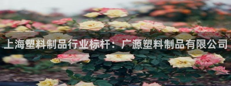 太陽集團(tuán)電子游戲返還8元：上海塑料制品行業(yè)標(biāo)桿：廣源塑料制品