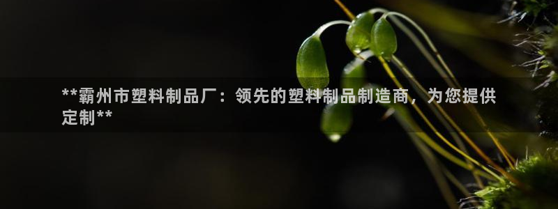 太陽貴賓城：**霸州市塑料制品廠：領(lǐng)先的塑料制品制造商，為您