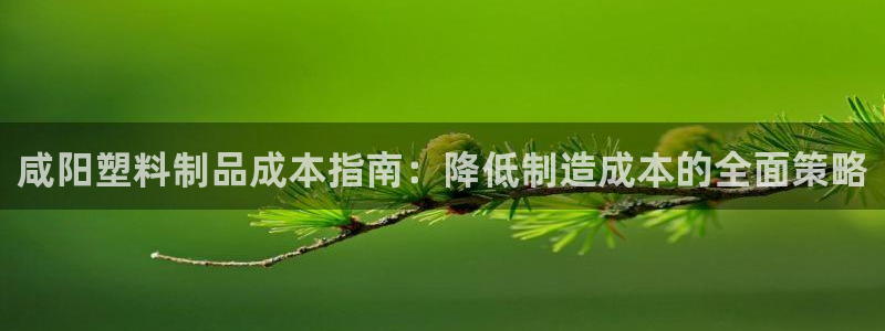 太陽成集團控股官網(wǎng)：咸陽塑料制品成本指南：降低制造成本的全面