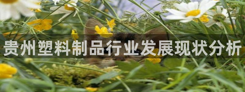 太陽集團(tuán)城2018網(wǎng)站：貴州塑料制品行業(yè)發(fā)展現(xiàn)狀分析