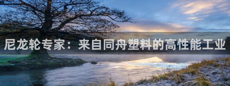 太陽成下載