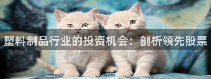 太陽集團(tuán)游戲官網(wǎng)：塑料制品行業(yè)的投資機(jī)會(huì)：剖析領(lǐng)先股票