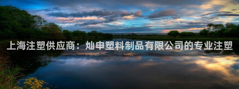 太陽集團是什么：上海注塑供應商：燦申塑料制品有限公司的專業(yè)注