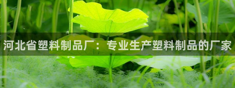 太陽集團董事長是誰：河北省塑料制品廠：專業(yè)生產(chǎn)塑料制品的廠家