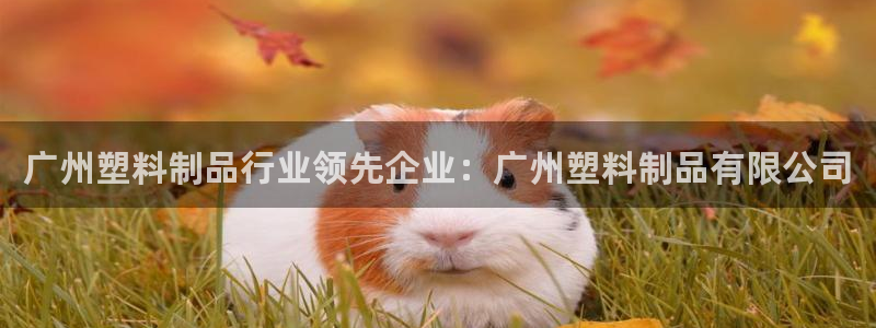 太陽集團(tuán)唯一值得信賴網(wǎng)站是什么