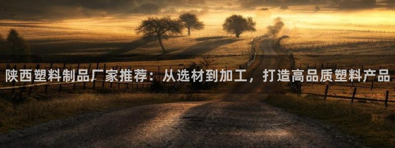 太陽(yáng)成集團(tuán)tyc234cc振興