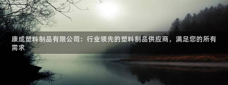 太陽(yáng)集團(tuán)控股有限公司：康成塑料制品有限公司：行業(yè)領(lǐng)先的塑料制