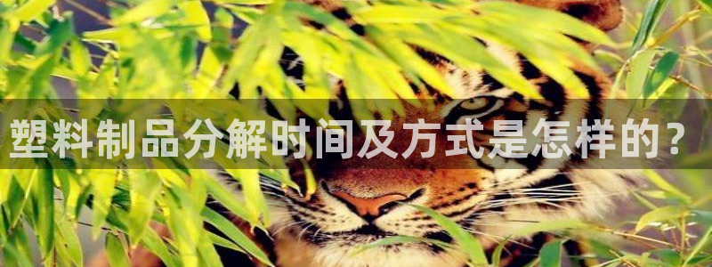 冷太陽(yáng)演員表：塑料制品分解時(shí)間及方式是怎樣的？