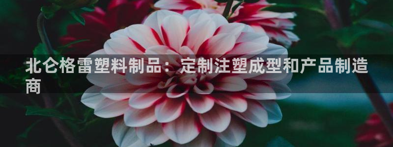 太陽集團電子游戲返還8元：北侖格雷塑料制品：定制注塑成型和產(chǎn)