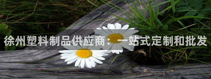 太陽集團是怎樣一個公司：徐州塑料制品供應(yīng)商：一站式定制和批發(fā)
